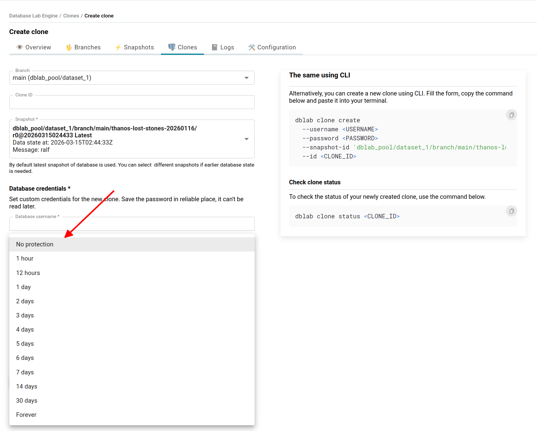 Clone protection dropdown showing lease duration options