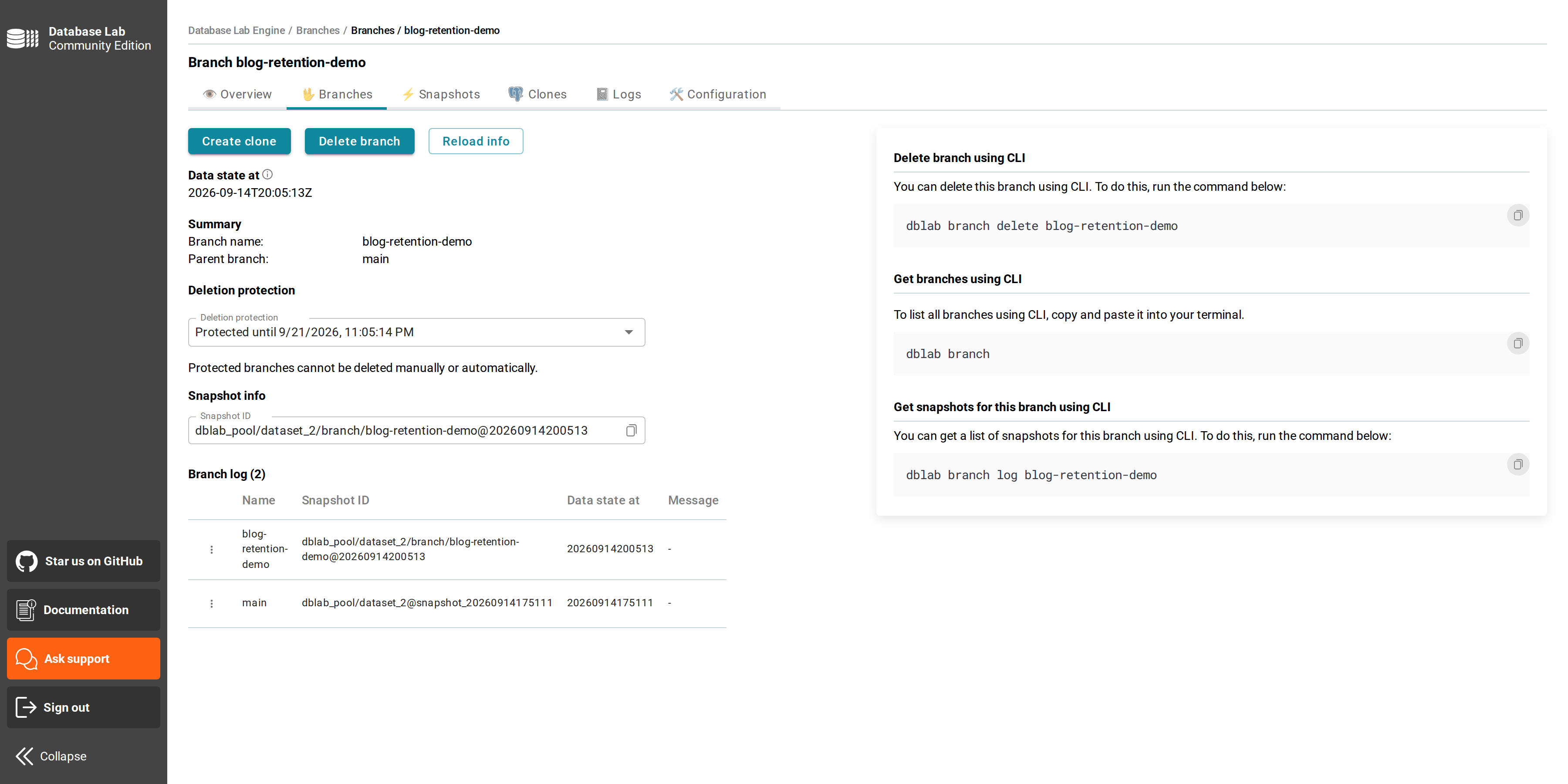 DBLab UI branch page showing a Deletion protection dropdown set to Protected until a date